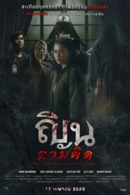 Don t Look Back I Know Your Origins ณินตามติด (2024) บรรยายไทย