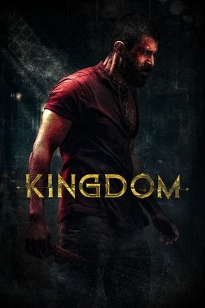 ดูหนัง Kingdom (2025) ฝ่าภารกิจเดือด เต็มเรื่อง